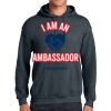 Heavy Blend  Hooded Sweatshirt Thumbnail